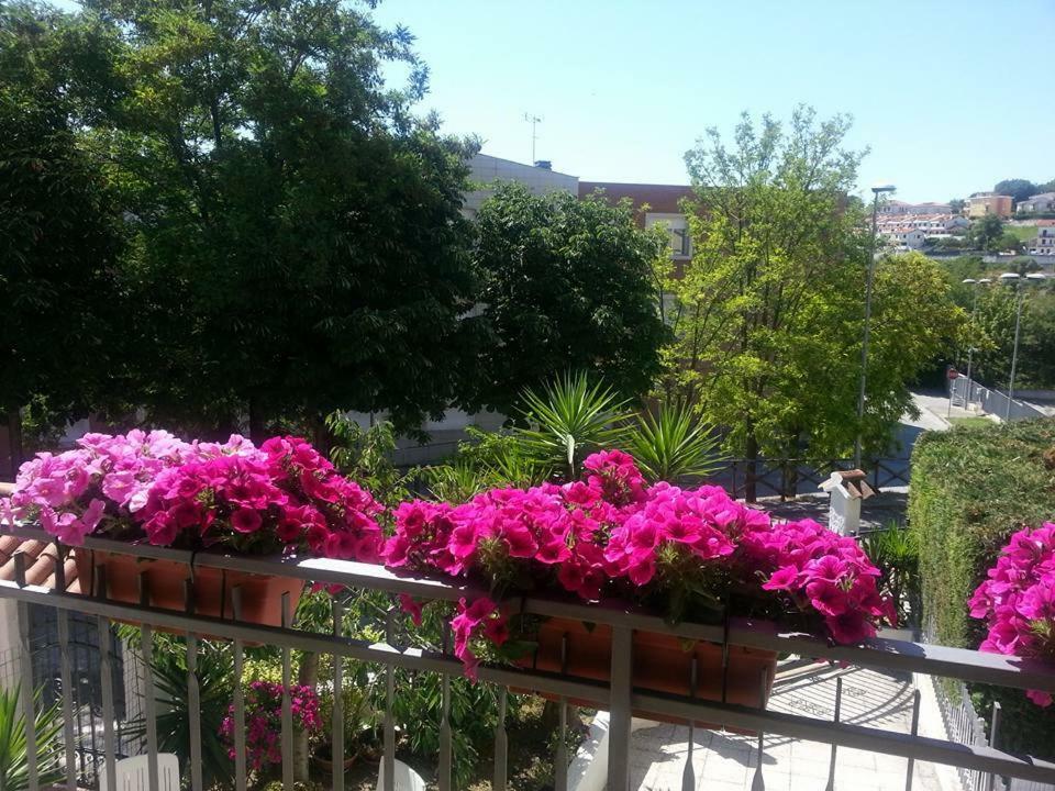 A Casa Di Nonna Bed & Breakfast โลเรโต ภายนอก รูปภาพ